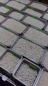 🌿 Máme mořské perly, které vyprávějí příběh