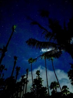 🌿 Co se děje během úplňku? Který nás teď čeká..