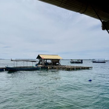 🌿 Proč máme tak zajímavé ceny?