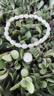 🌿 Sladkovodní nebo mořská perla: jaký je mezi nimi rozdíl?